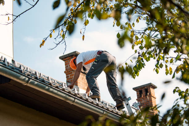 Professional Roofing Contractor in Forest Lake, IL